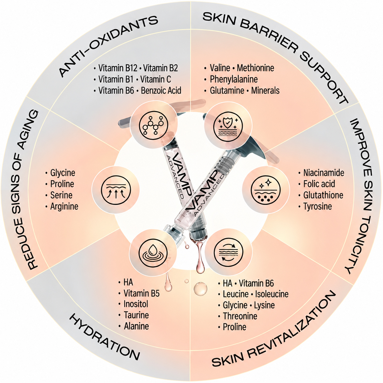 vamp ingredients wheel